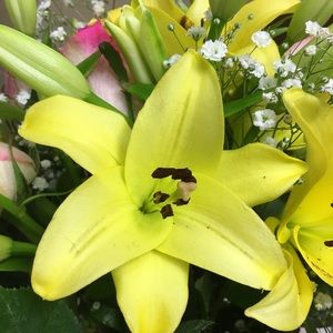 Meet your Posher, Mayra